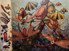 Load image into Gallery viewer, Victor Huerta Batista - Avioncitos con manual de fabricacion