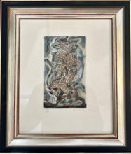Load image into Gallery viewer, Francisco Toledo - Animal que se pela