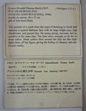 Load image into Gallery viewer, Symon - Orange royalty