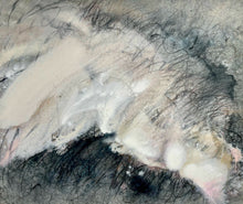 Load image into Gallery viewer, Baruj Salinas - White tongue