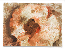 Load image into Gallery viewer, Hongo - MLA Gallery-