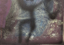 Load image into Gallery viewer, Guillermo Ceniceros - La sombre de lo que va a suceder