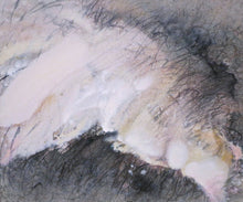 Load image into Gallery viewer, Baruj Salinas - White tongue