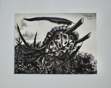 Load image into Gallery viewer, Ramon Alejandro - Aguamor I