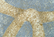 Load image into Gallery viewer, Baruj Salinas - Rastro Petreo