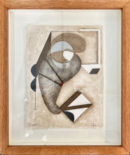 Load image into Gallery viewer, Manuel Felguerez - Autobiografia de la creación
