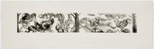 Load image into Gallery viewer, Francisco Toledo
