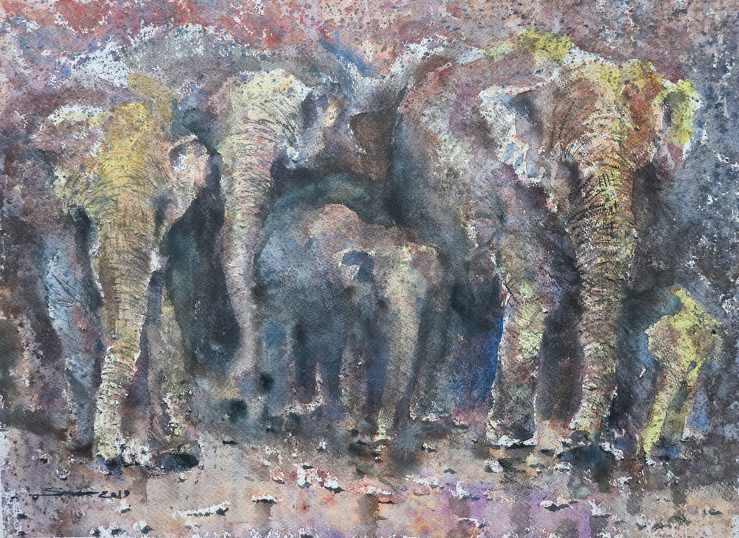 Sawan Tantiwan - Kuiburi Elephant Preserve III