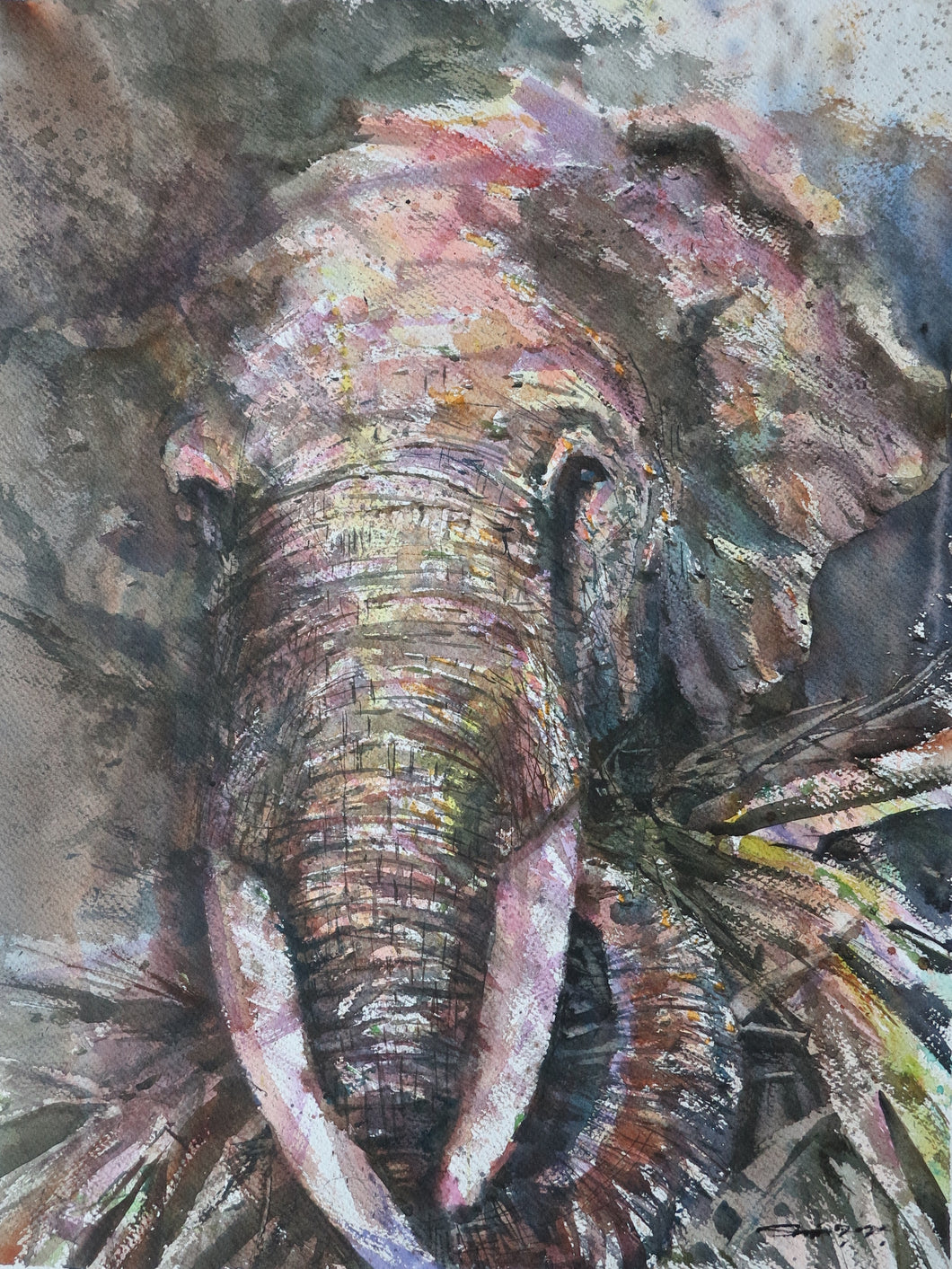 Sawan Tantiwan - Kuiburi Elephant Preserve IV