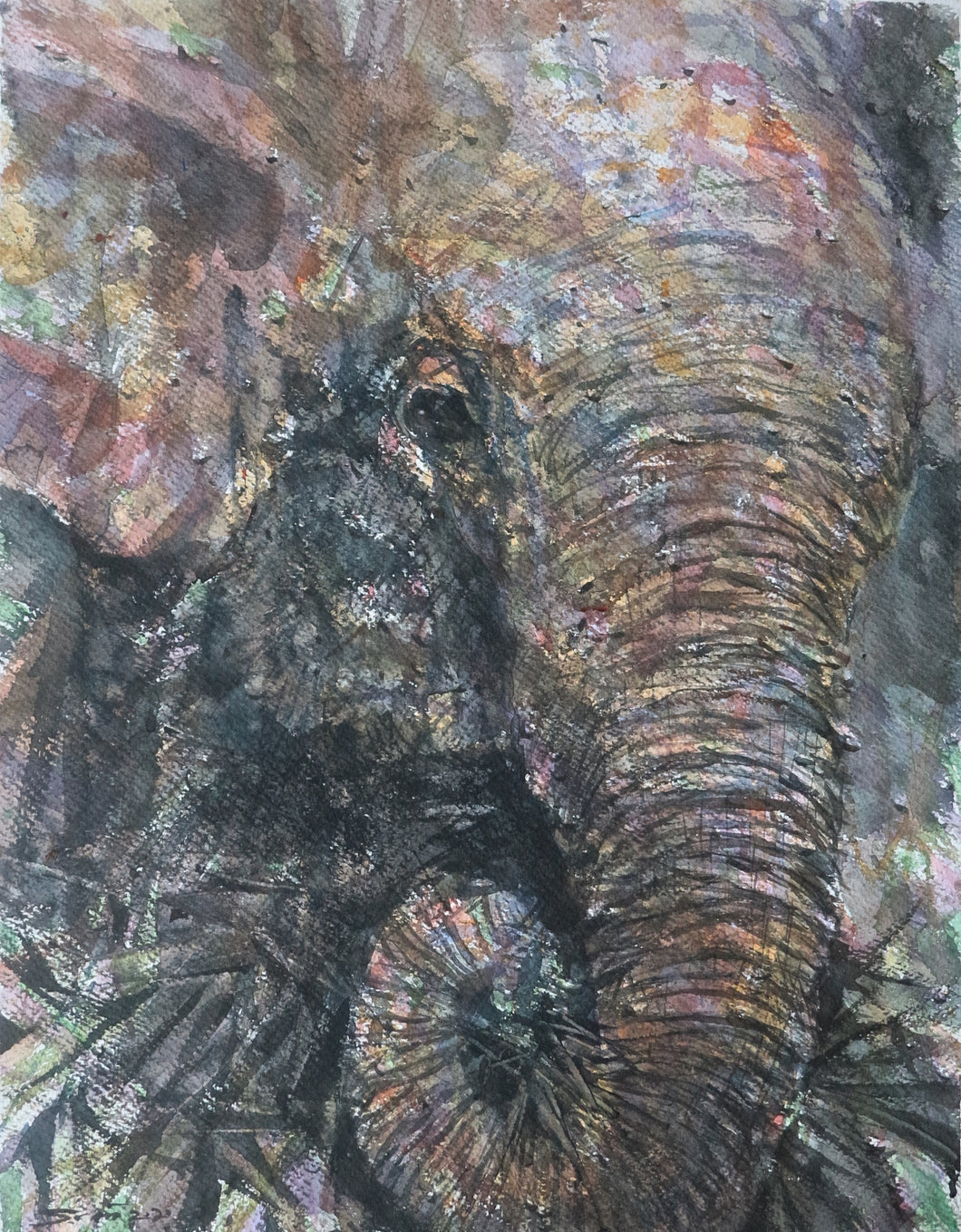 Sawan Tantiwan - Kuiburi Elephant Preserve V