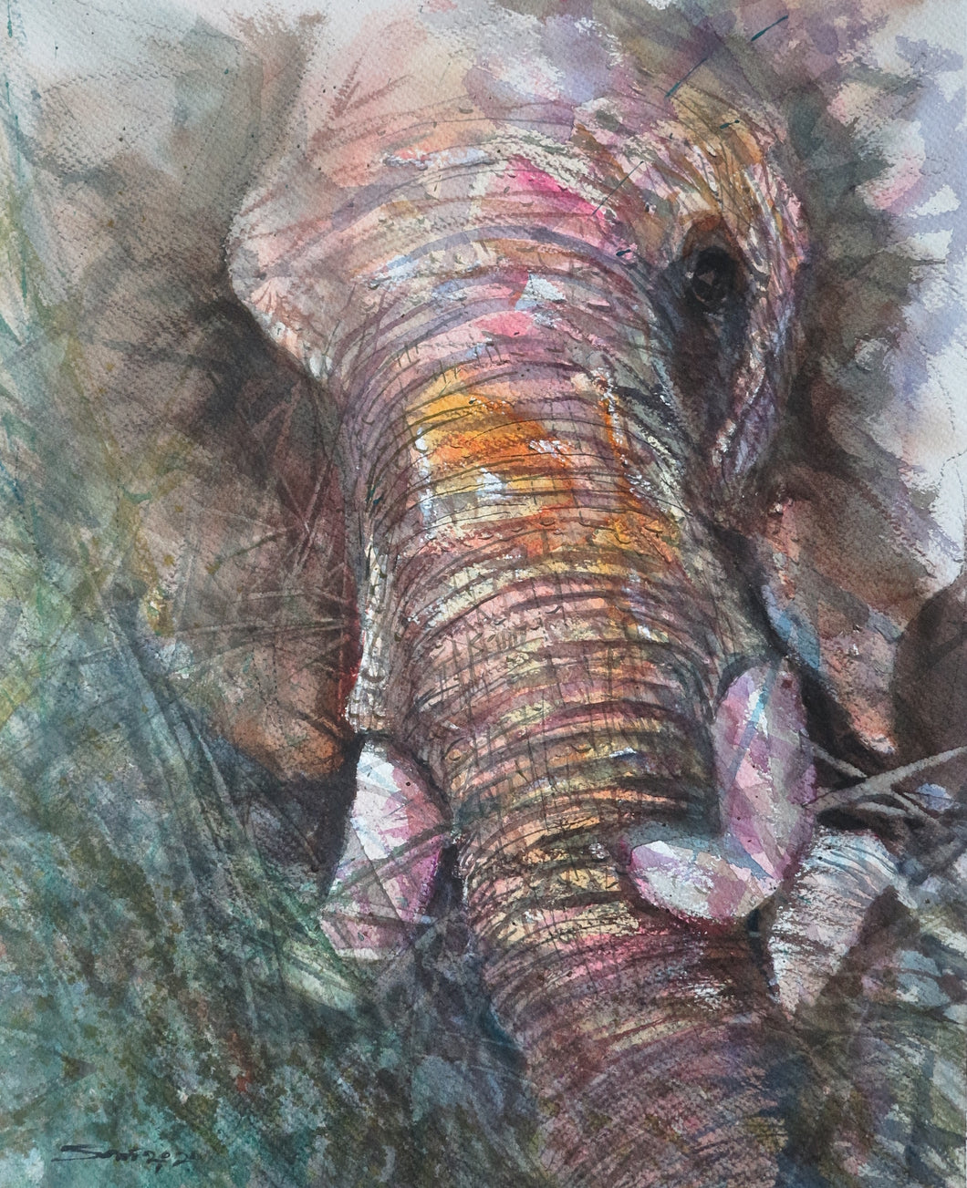 Sawan Tantiwan - Kuiburi Elephant Preserve VII